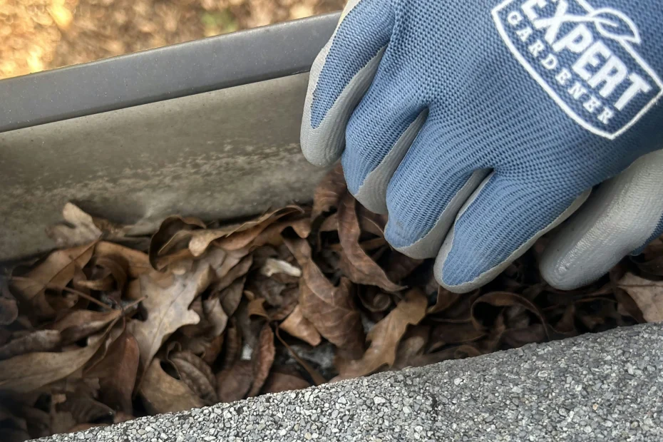 Gutter Cleaning Plano TX