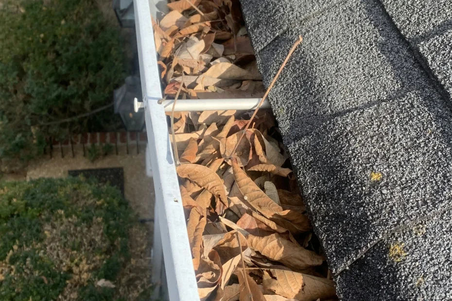 Gutter Cleaning Plano TX