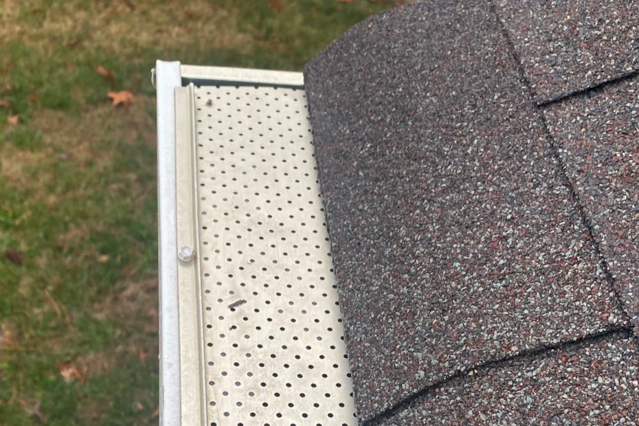 Gutter Cleaning Plano TX