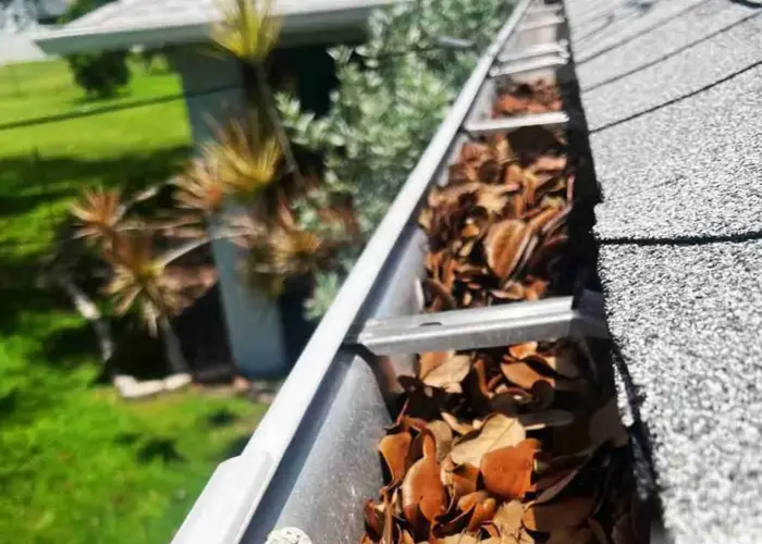 Gutter Cleaning Plano TX home page